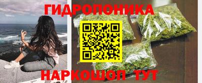 ГАЛЛЮЦИНОГЕННЫЕ ГРИБЫ Можга