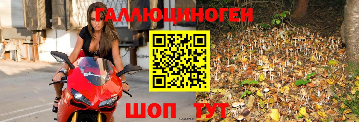 Верхняя Пышма  Галлюциногенные грибы мухоморы  Вход с VPN 